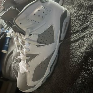 Jordan grey and white 6s